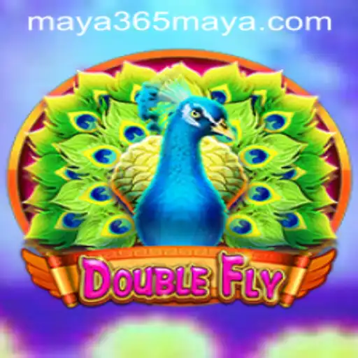 DoubleFly: Soaring Through the Skies of Innovation